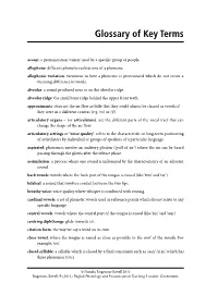 Glossary of Key Terms