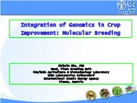 Molecular Breeding