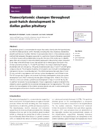 Transcriptomic Changes Throughout Post-Hatch Development in Gallus Gallus Pituitary