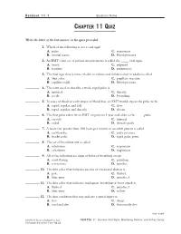 Chapter 11 Quiz