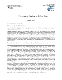 Coordinated Hunting by Cuban Boas