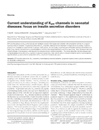 Current Understanding of KATP Channels in Neonatal Diseases: Focus on Insulin Secretion Disorders