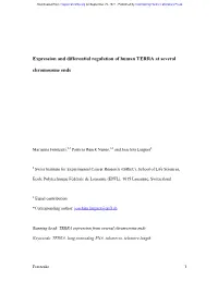 Expression and Differential Regulation of Human TERRA at Several Chromosome Ends