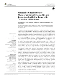 Metabolic Capabilities of Microorganisms Involved in and Associated with the Anaerobic Oxidation of Methane