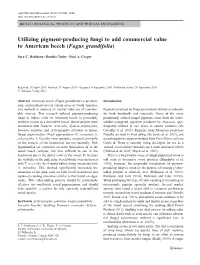 Utilizing Pigment-Producing Fungi to Add Commercial Value to American Beech (Fagus Grandifolia)