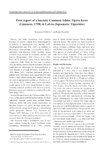 First Report of a Leucistic Common Adder, Vipera Berus (Linnaeus, 1758) in Latvia (Squamata: Viperidae)