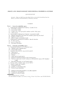 Orlicz and Orlicz-Sobolev Exponential Statistical Bundle