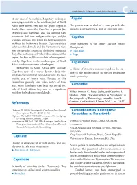 (Coleoptera: Carabidae) As Parasitoids C 719 of Any Race of A