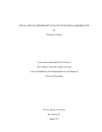 Final Bedore Dissertation