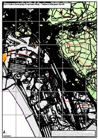 Port Talbot Emerging Proposals