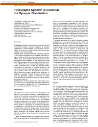 Presynaptic Spectrin Is Essential for Synapse Stabilization