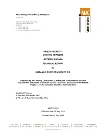 Technical Report (NI 43-101) on Omega Project