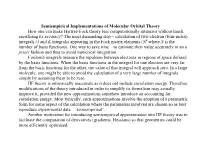 Semiempirical Implementations of Molecular