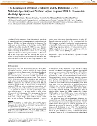 The Localization of Human Cyclins B1 and B2 Determines CDK1