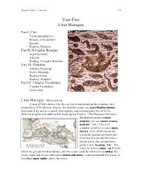 Unit Five Lītus Mareque