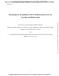 Mechanisms for the Inhibition of DNA Methyltransferases by Tea Catechins and Bioflavonoids