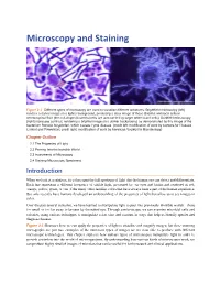 Microscopy and Staining