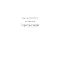 Quasi–Geodesic Flows