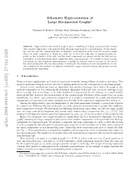 Schematic Representation of Large Biconnected Graphs?