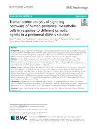 Transcriptome Analysis of Signaling Pathways of Human Peritoneal