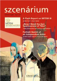 A Flash Report on MITEM III „Now I Need the Epic Spaciousness of Time” Portrait Sketch of an Independent Artist