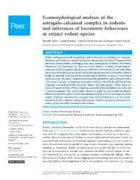 Ecomorphological Analysis of the Astragalo-Calcaneal Complex in Rodents and Inferences of Locomotor Behaviours in Extinct Rodent Species