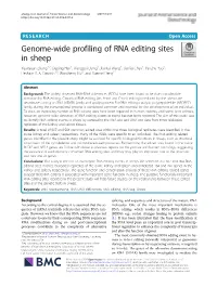 Genome-Wide Profiling of RNA Editing Sites in Sheep Yuanyuan Zhang1,2, Deping Han1, Xianggui Dong1, Jiankui Wang1, Jianfei Chen1, Yanzhu Yao1, Hesham Y