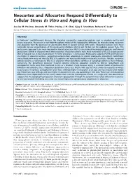 Neocortex and Allocortex Respond Differentially to Cellular Stress in Vitro and Aging in Vivo