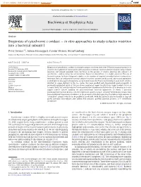 Biogenesis of Cytochrome C Oxidase — in Vitro Approaches to Study Cofactor Insertion Into a Bacterial Subunit I