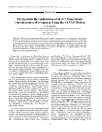 Coleoptera) Using the SYNAP Method A