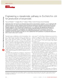 Engineering a Mevalonate Pathway in Escherichia Coli for Production of Terpenoids