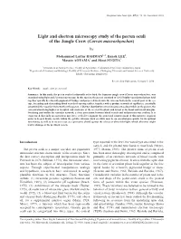 Light and Electron Microscopy Study of the Pecten Oculi of the Jungle Crow (Corvus Macrorhynchos)