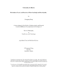 Metabolism of Lactic Acid Bacteria in Wheat Sourdough and Bread Quality