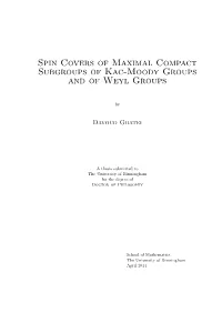 Spin Covers of Maximal Compact Subgroups of Kac-Moody Groups and of Weyl Groups