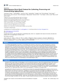 Abbiategrasso Brain Bank Protocol for Collecting, Processing and Characterizing Aging Brains