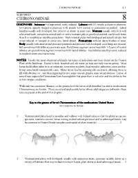 Chironominae 8.1