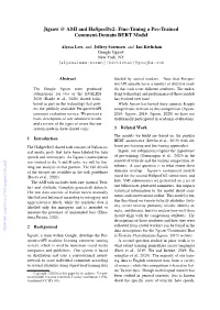 Fine-Tuning a Pre-Trained Comment-Domain BERT Model