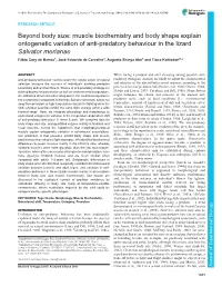 Muscle Biochemistry and Body Shape Explain Ontogenetic Variation of Anti