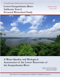 Technical Reports Are Outcroppings and Small Islands