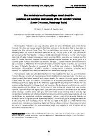 What Vertebrate Fossil Assemblages Reveal About the Palustrine and Lacustrine Environments of the El Castellar Formation (Lower Cretaceous, Maestrazgo Basin)