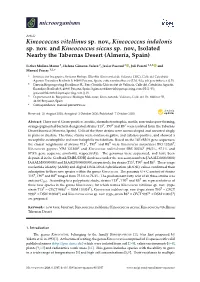 Kineococcus Vitellinus Sp. Nov., Kineococcus Indalonis Sp