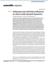 Substrate and Cell Fusion Influence on Slime Mold Network Dynamics