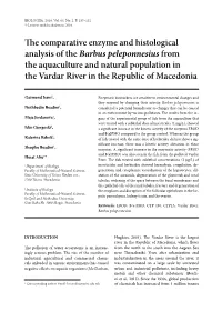 The Comparative Enzyme and Histological Analysis of the Barbus