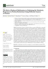 The Role of Reduced Methionine in Mediating the Metabolic Responses to Protein Restriction Using Different Sources of Protein