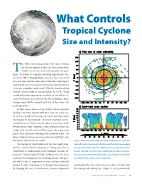 What Controls Tropical Cyclone Size and Intensity?
