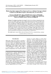 Molecular Data Support Pseudoparmelia As a Distinct Lineage Related to Relicina and Relicinopsis (Ascomycota, Lecanorales)
