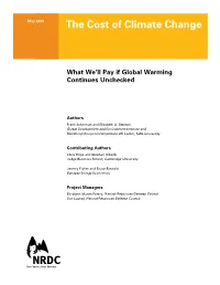 The Cost of Climate Change, Report (Pdf)