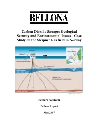 Carbon Dioxide Storage: Geological Security and Environmental Issues – Case Study on the Sleipner Gas Field in Norway