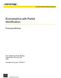 Econometrics with Partial Identification