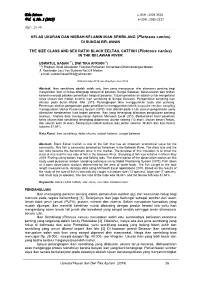 Edu Science Vol. 6, No. 1 (2019) Hal : 26-30